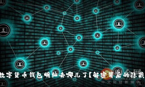 你的数字货币钱包明细去哪儿了？解密背后的隐藏信息！
