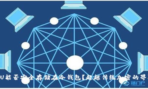 黑U能否安全存储在冷钱包？超越传统加密的界限！