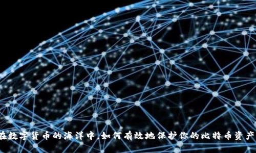 在数字货币的海洋中，如何有效地保护你的比特币资产？