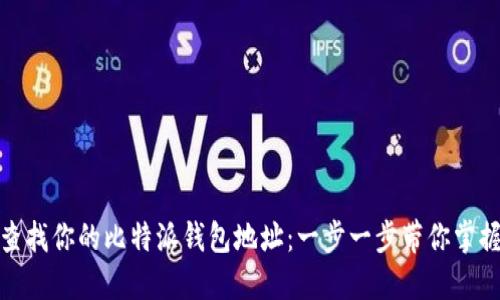 如何快速查找你的比特派钱包地址：一步一步带你掌握关键步骤
