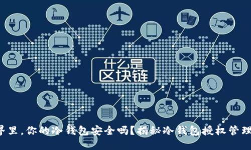 在数字货币的世界里,你的冷钱包安全吗?揭秘冷钱包授权管理系统的关键挑战!
