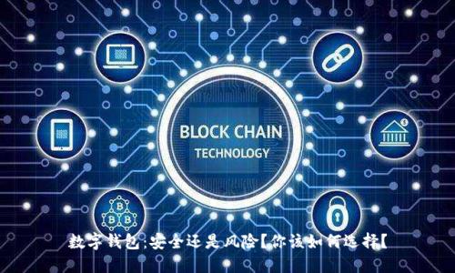 数字钱包：安全还是风险？你该如何选择？