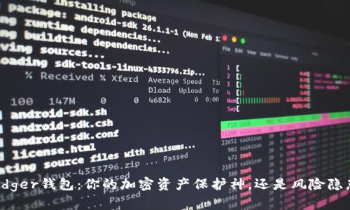 Ledger钱包:你的加密资产保护神,还是风险隐患?