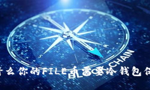为什么你的FILE币需要冷钱包保护?