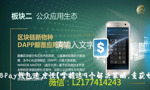 为什么EBPay钱包速度慢？掌握这9个解决策略，重获畅快体验！