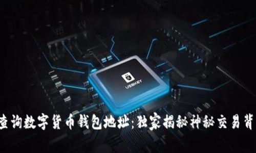 如何快速查询数字货币钱包地址：独家揭秘神秘交易背后的秘密！