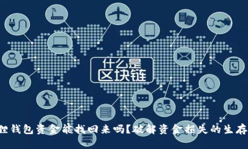 小狐狸钱包资金能找回来吗?破解资金损失的生存挑战!