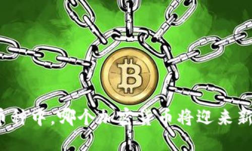 在万千币种中，哪个加密货币将迎来新的曙光？