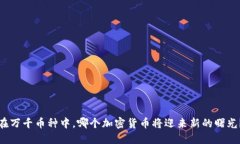 在万千币种中,哪个加密货币将迎来新的曙光?
