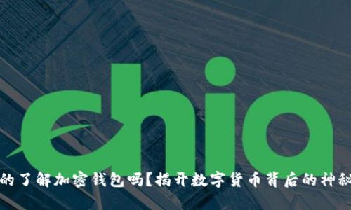 你真的了解加密钱包吗？揭开数字货币背后的神秘面纱