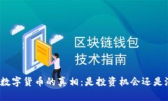 揭开加密数字货币的真相：是投资机会还是潜在