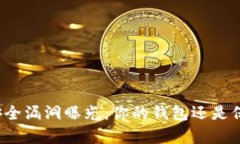 冷钱包安全漏洞曝光：你的钱包还是保险库吗？