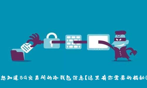 想知道BG交易所的冷钱包信息？这里有你需要的揭秘！